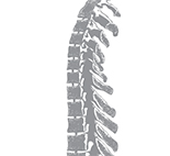 ChattSpine